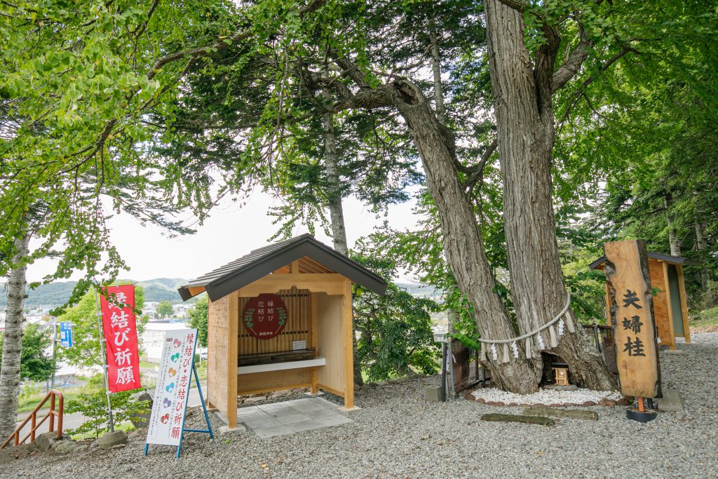 夫婦桂
